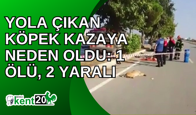 Yola çıkan köpek kazaya neden oldu: 1 ölü, 2 yaralı