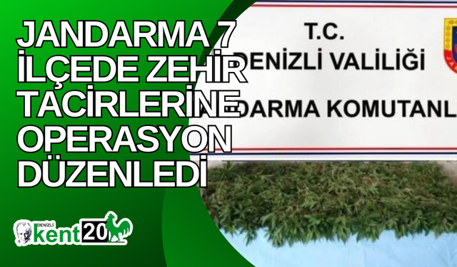 Jandarma 7 ilçede zehir tacirlerine operasyon düzenledi