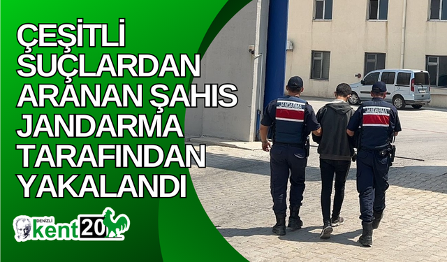 Çeşitli suçlardan aranan şahıs jandarma tarafından yakalandı