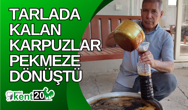 Tarlada kalan karpuzlar pekmeze dönüştü