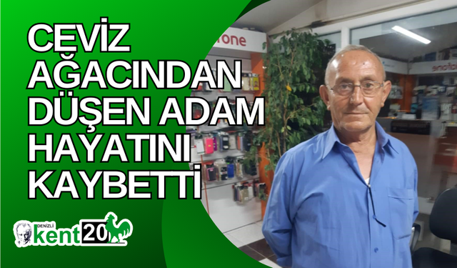 Ceviz ağacından düşen adam hayatını kaybetti