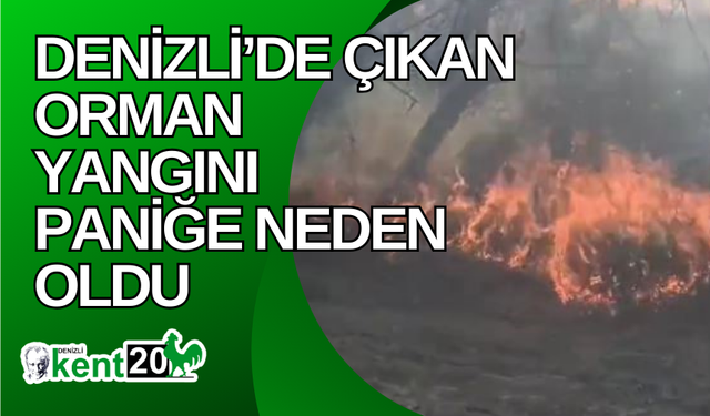 Denizli’de çıkan orman yangını paniğe neden oldu