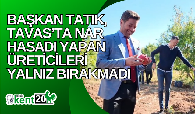 Başkan Tatık, Tavas’ta nar hasadı yapan üreticileri yalnız bırakmadıı