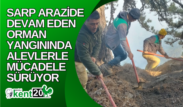 Sarp arazide devam eden orman yangınında alevlerle mücadele sürüyor