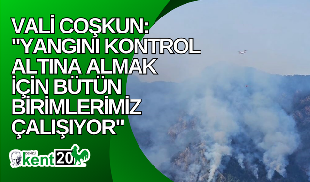 Vali Coşkun: "Yangını kontrol altına almak için bütün birimlerimiz çalışıyor"