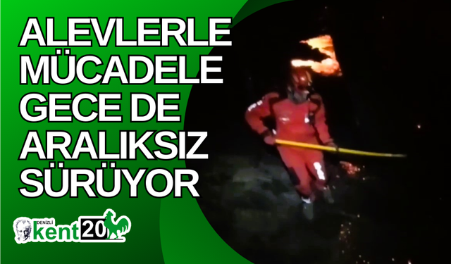 Alevlerle mücadele gece de aralıksız sürüyor