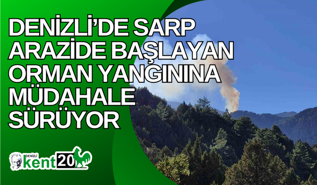 Denizli’de sarp arazide başlayan orman yangınına müdahale sürüyor