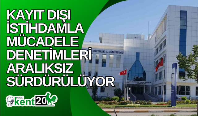 Kayıt dışı istihdamla mücadele denetimleri aralıksız sürdürülüyor