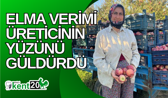 Elma verimi üreticinin yüzünü güldürdü