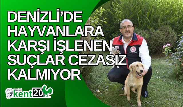 Denizli’de hayvanlara karşı işlenen suçlar cezasız kalmıyor