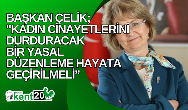 Başkan Çelik, "Kadın cinayetlerini durduracak bir yasal düzenleme hayata geçirilmeli”