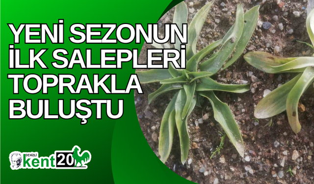 Yeni sezonun ilk salepleri toprakla buluştu