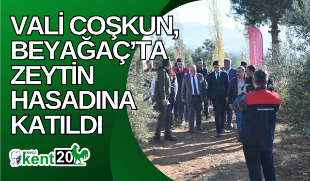 Vali Coşkun, Beyağaç’ta zeytin hasadına katıldı