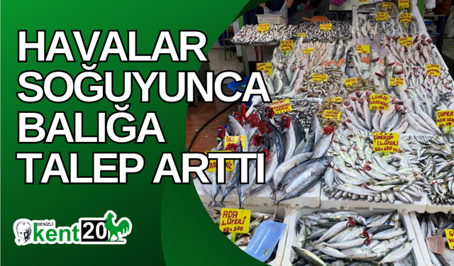 Havalar soğuyunca balığa talep arttı