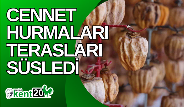 Cennet hurmaları terasları süsledi