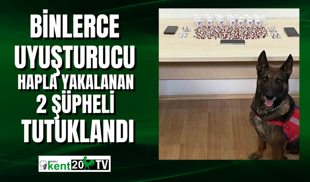 Binlerce uyuşturucu hapla yakalanan 2 şüpheli tutuklandı