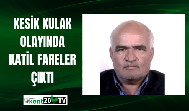 Kesik kulak olayında katil fareler çıktı
