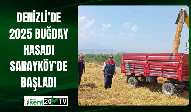 Denizli’de 2025 Buğday Hasadı Sarayköy’de Başladı