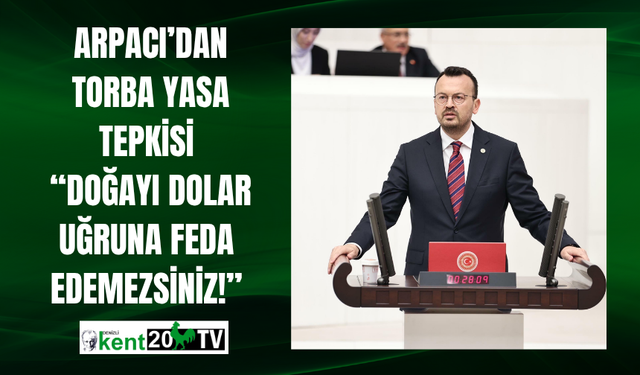 Arpacı’dan  Torba Yasa Tepkisi  “Doğayı Dolar Uğruna Feda Edemezsiniz!”
