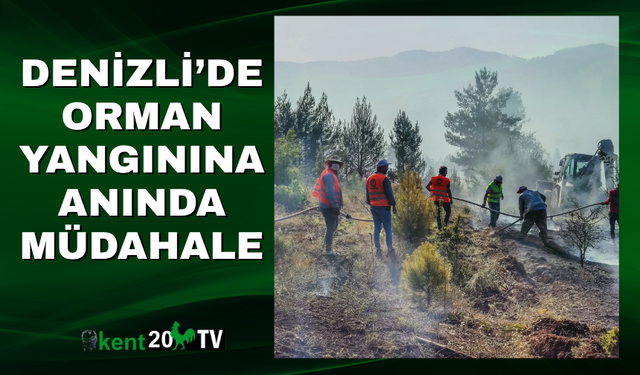 Denizli’de Orman Yangınına Anında Müdahale