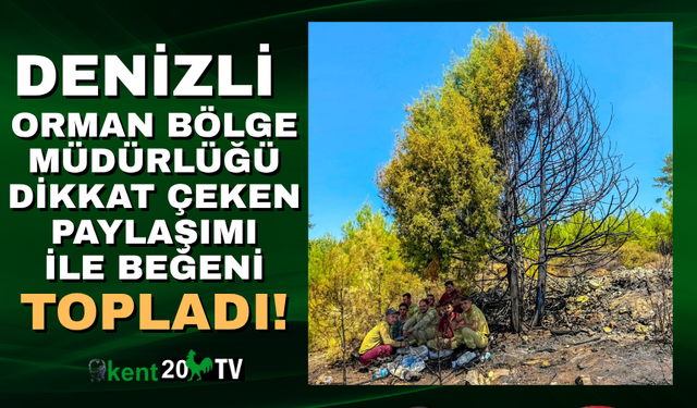 Orman Bölge Müdürlüğü, "Ormanlar En Güzel Yuva"