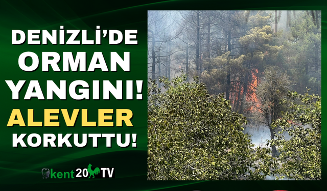Denizli'de yangın!
