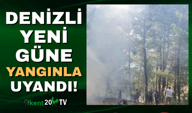Denizli'de orman yangını!