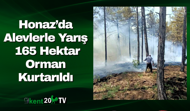Honaz’da Alevlerle Yarış  165 Hektar Orman Kurtarıldı