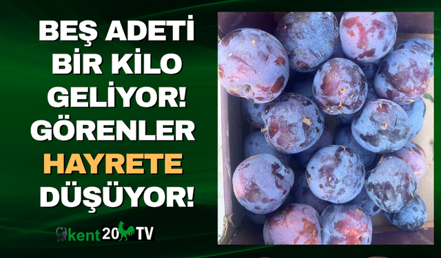 Bu erik başka erik!