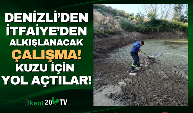 Büyükşehir Belediyesi çaresiz kuzuya yardım eli uzattı!