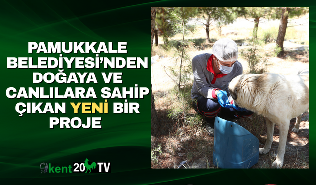 PAMUKKALE BELEDİYESİ’NDEN DOĞAYA VE CANLILARA SAHİP ÇIKAN YENİ BİR PROJE