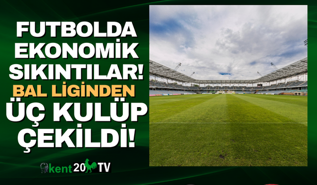 Denizli'de üç kulüp bal liginden çekildi!