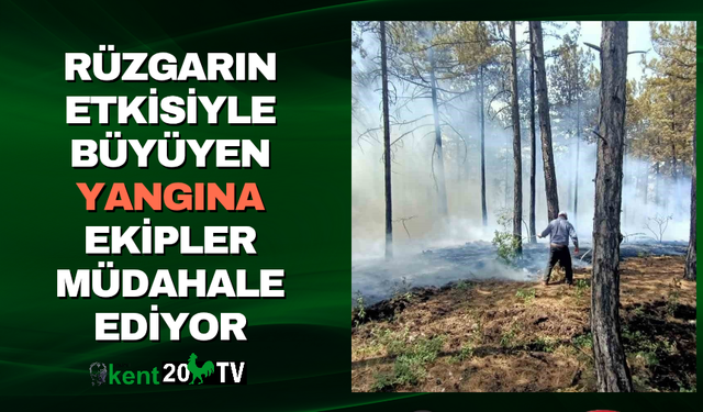 Rüzgarın Etkisiyle Büyüyen Yangına Ekipler Müdahale Ediyor