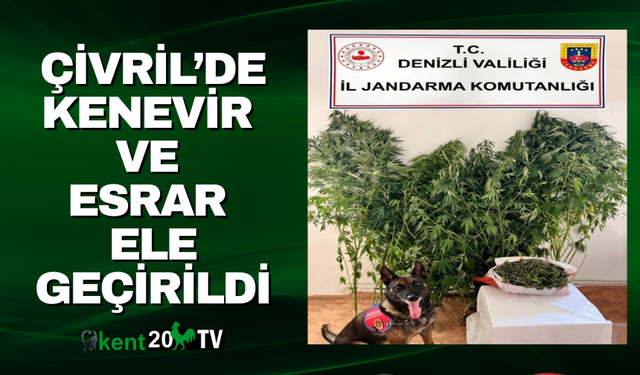 Çivril’de Kenevir ve Esrar Ele Geçirildi