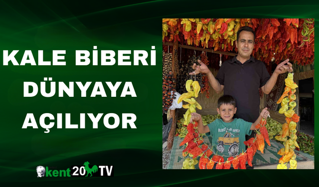 Kale Biberi Dünyaya Açılıyor