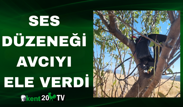 Ses Düzeneği Avcıyı Ele Verdi