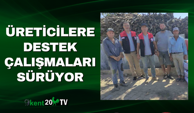 Üreticilere Destek Çalışmaları Sürüyor