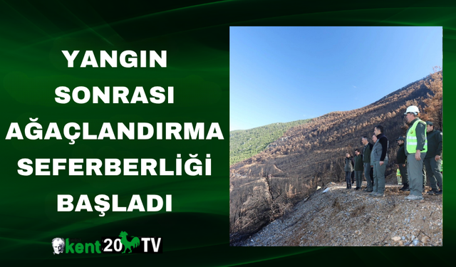 Yangın sonrası ağaçlandırma seferberliği başladı