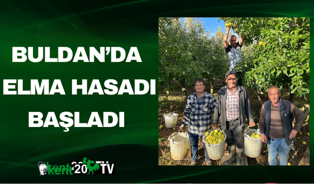 Buldan’da Elma Hasadı Başladı