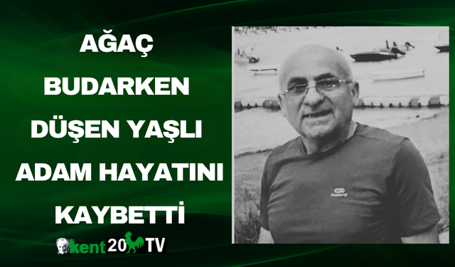 Ağaç Budarken Düşen Yaşlı Adam Öldü