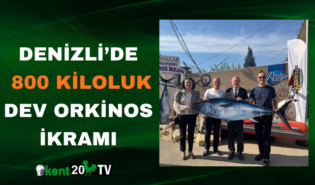 Denizli’de 800 Kiloluk Dev Orkinos İkramı