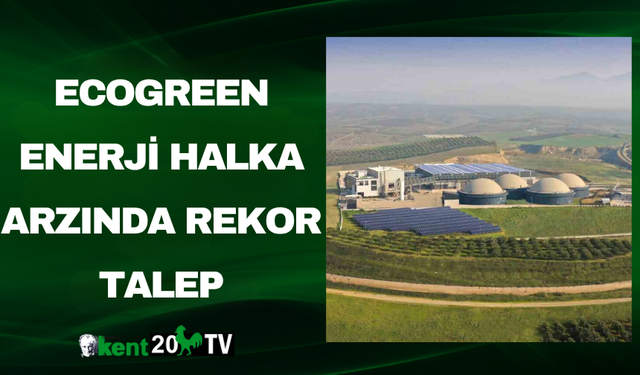 Ecogreen Enerji Halka Arzında Rekor Talep