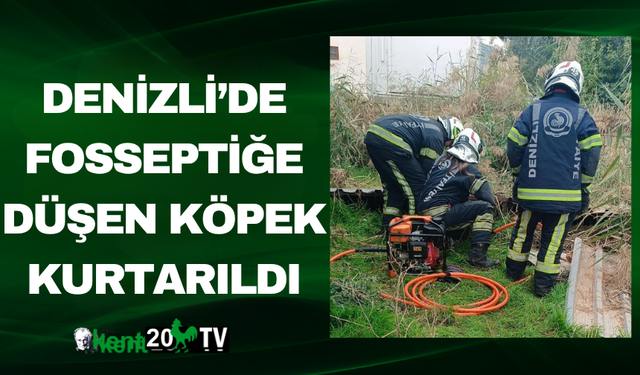 Denizli’de Fosseptiğe Düşen Köpek Kurtarıldı