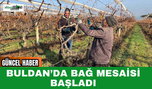 Buldan’da Bağ Mesaisi Başladı