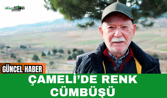 Çameli’de Renk Cümbüşü