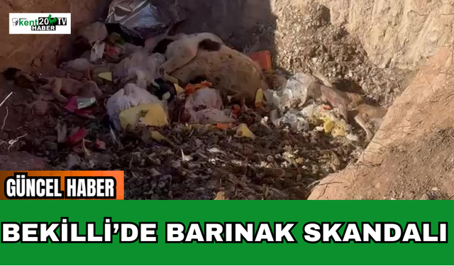 Bekilli’de Barınak Skandalı