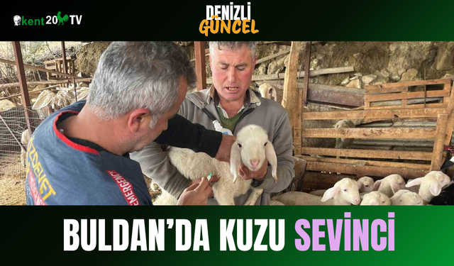Buldan’da Kuzu Sevinci