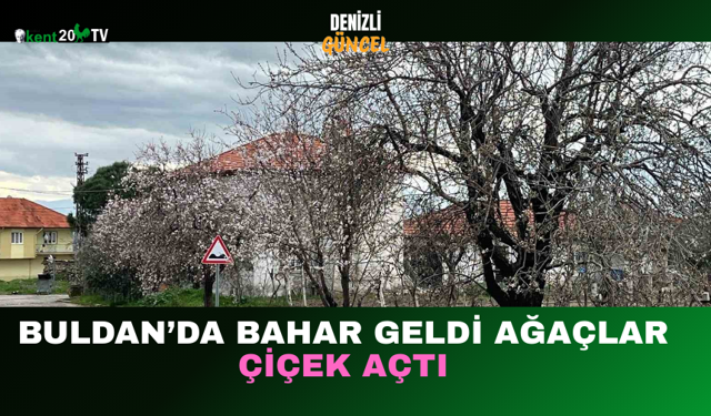 “Buldan’da Bahar Geldi, Ağaçlar Çiçek Açtı”