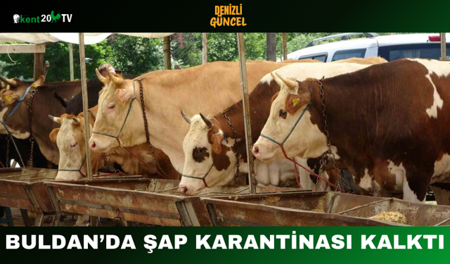 Buldan’da Şap Karantinası Kalktı