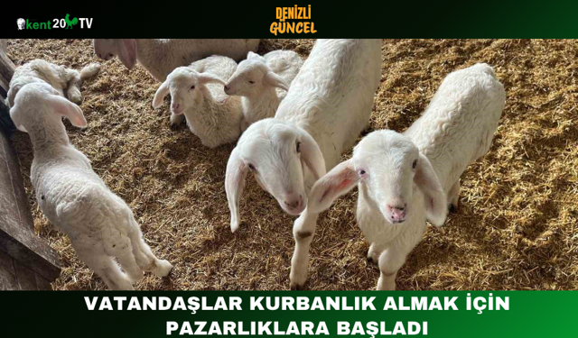 Vatandaşlar Kurbanlık Almak İçin Pazarlıklara Başladı